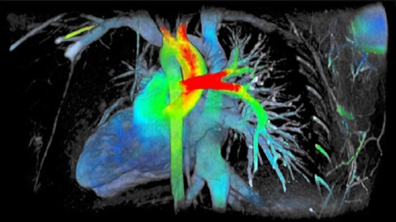 Áreas de SISTEMAS BIOMEDICOS