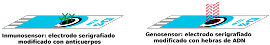 Áreas de SISTEMAS BIOMEDICOS