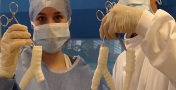 Áreas de SISTEMAS BIOMEDICOS