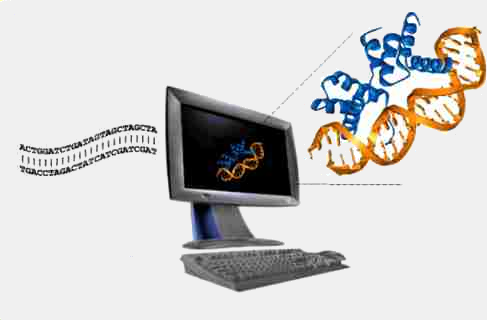 Áreas de SISTEMAS BIOMEDICOS