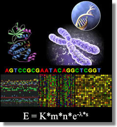Áreas de SISTEMAS BIOMEDICOS