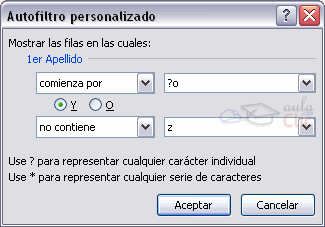 auto filtro personalizado