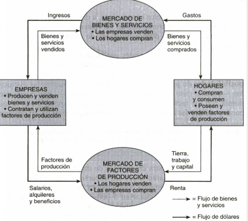 MODELOS Y SUPUESTOS ECONOMICOS- RIESGOS ECONOMICOS