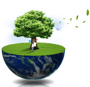 La evaluacion de impacto ambiental en colombia