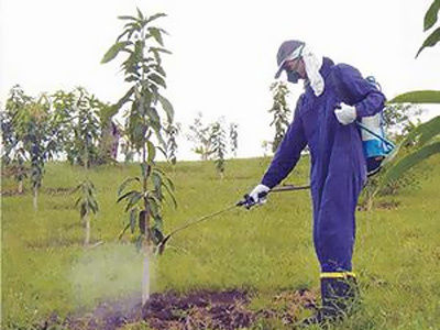 CONTAMINACIÓN