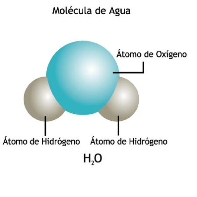 Niveles de organización de la materia.