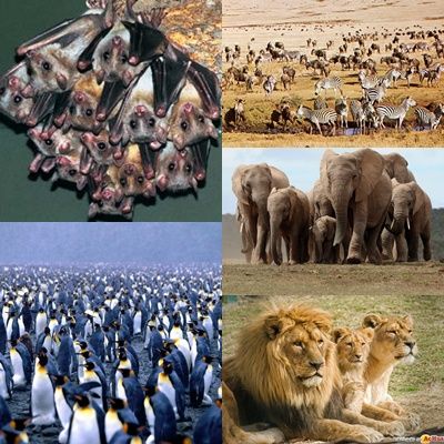 Niveles de organización de la materia.