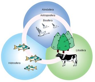 Niveles de organización de la materia.