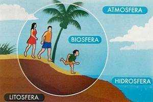 Niveles de organización de la materia.