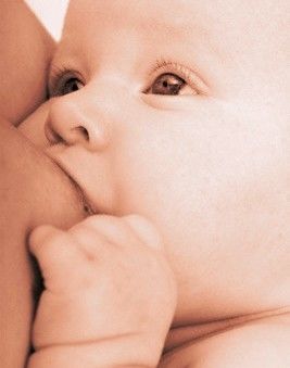 TEORÍAS APLICADAS A LA DISCIPLINA OBSTETRICA