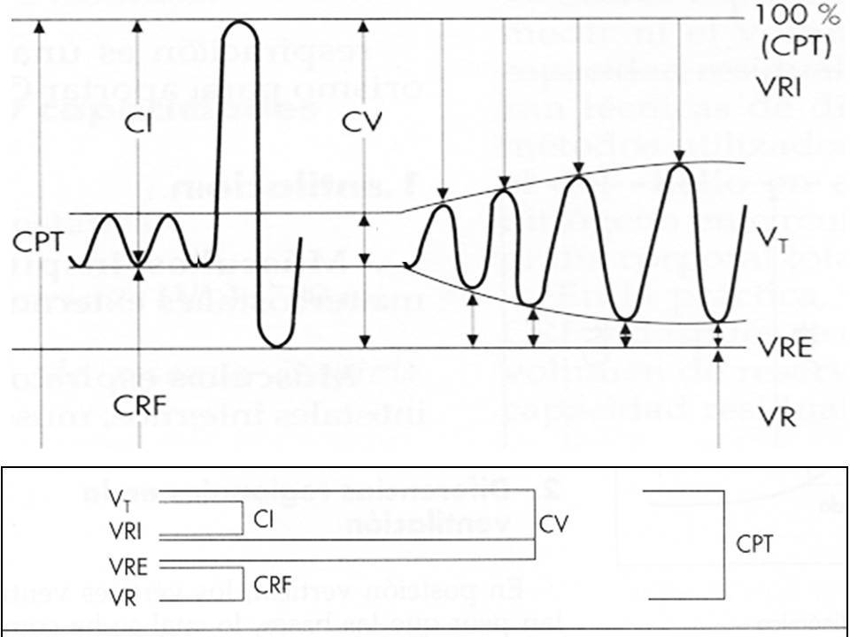 Volúmenes y Capacidades Pulmonares (Estáticos)