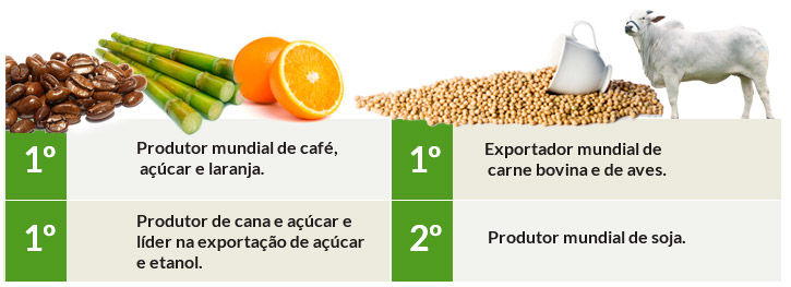 Agricultura e Pecuária no Brasil