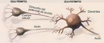 La Atencion