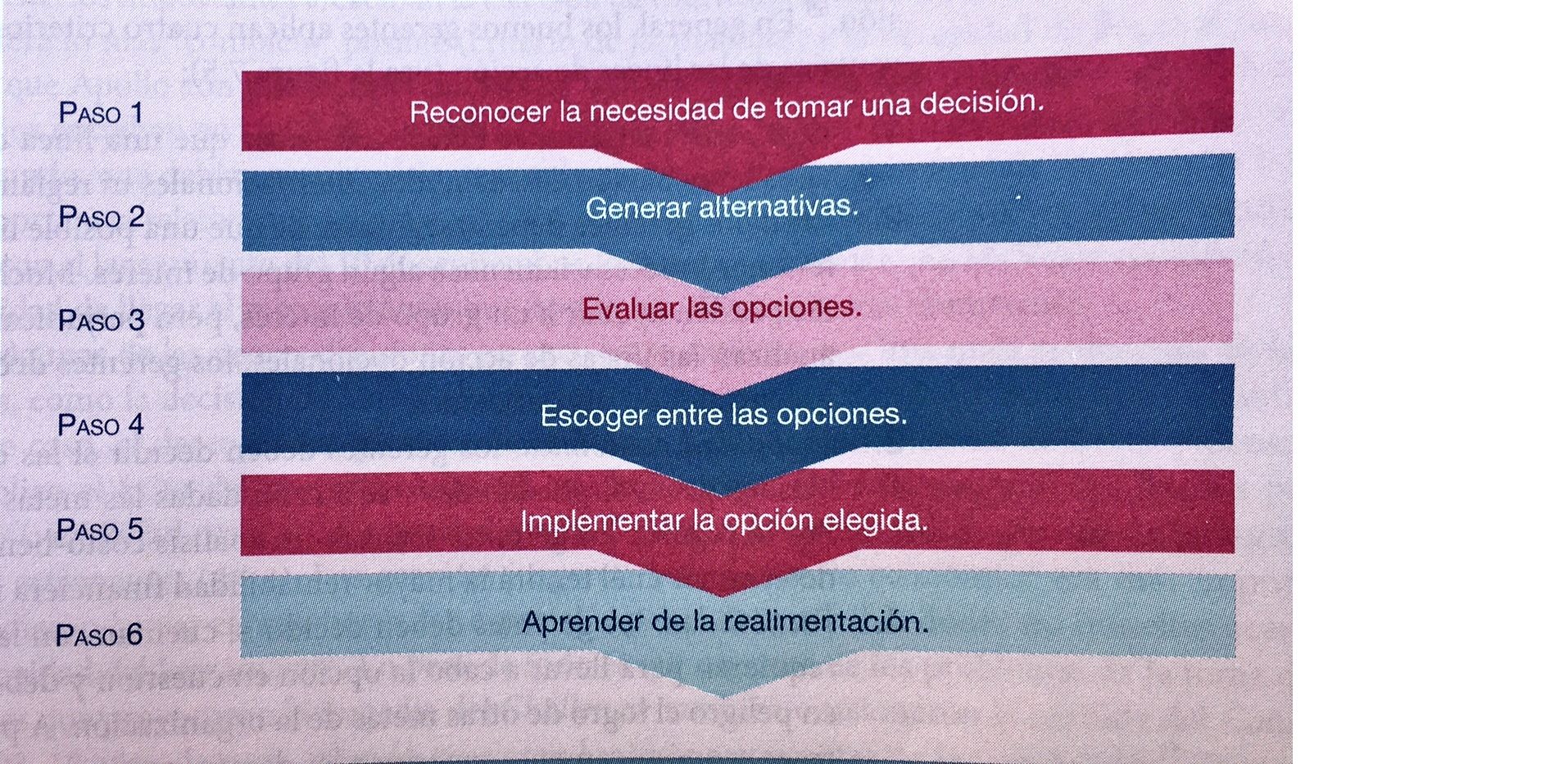 Toma de decisiones, aprendizaje, creatividad y espíritu emprendedor