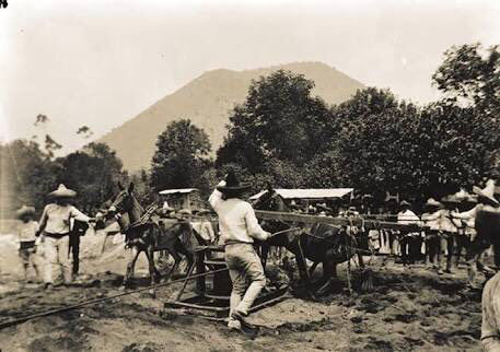 Paso del norte.