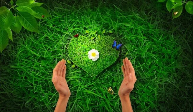 Las relaciones del ser humano y la naturaleza.