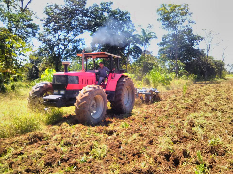 Identificacion de Cultivos Mecanizados en la Region de Uraba