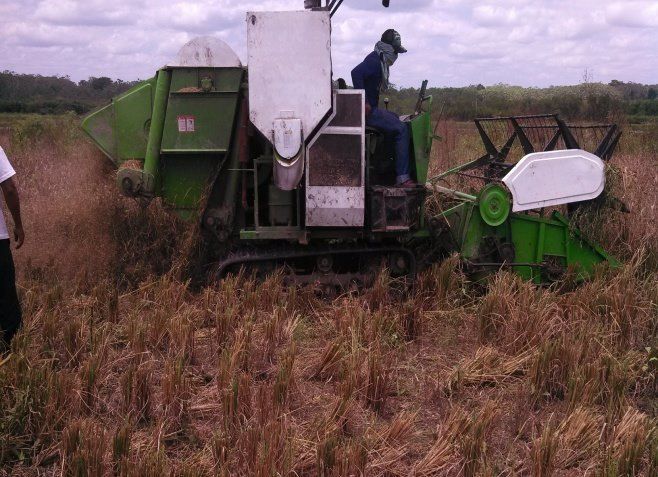 Identificacion de Cultivos Mecanizados en la Region de Uraba