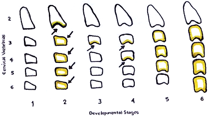 ASPECTOS GENERALES DE CRECIMIENTO Y DESARROLLO (Crecimiento: enfoque conceptual)