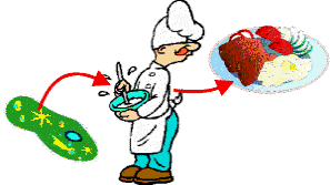 Food Safety: Temperature control of potentially hazardous foods