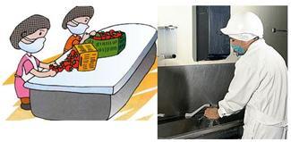 Food Safety: Temperature control of potentially hazardous foods