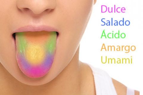 Identificación de las propiedades fÍsicas de la materia