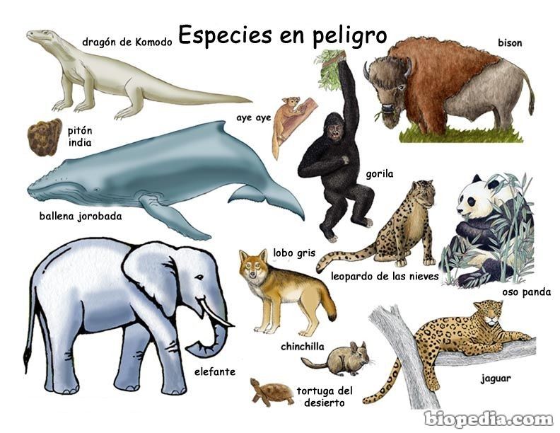 Impacto de laQuímica en lacalidad de la vida