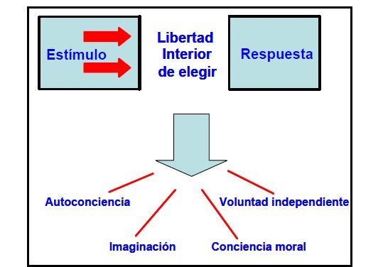 Los 7 hábitos de la gente altamente efectiva(Parte1) elborado por: Francisco Javier Campos Rodriguez