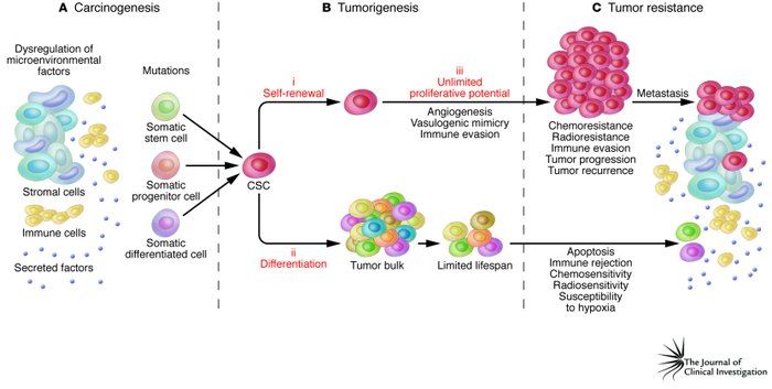 32. Biología molecular y genetica. Fisiología reproductiva