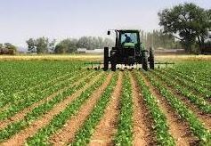 PRINCIPALES CULTIVOS CON MECANIZACIÓN AGRICOLA EN EL HUILA