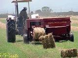PRINCIPALES CULTIVOS CON MECANIZACIÓN AGRICOLA EN EL HUILA