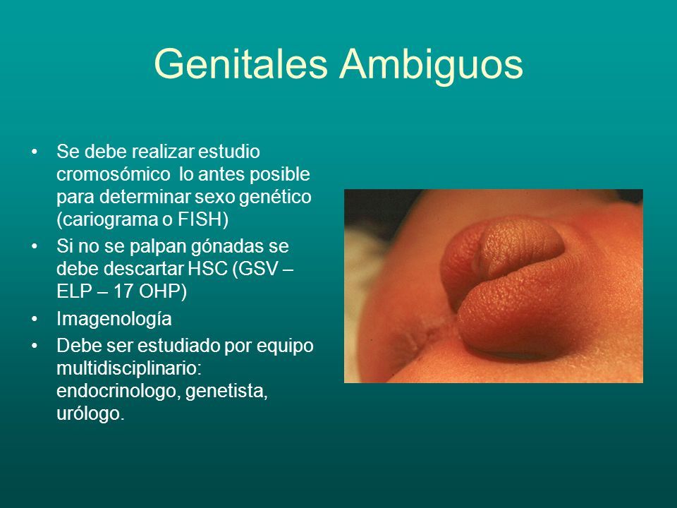 34. Enfermedades benignas del aparato reproductor femenino