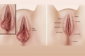 34. Enfermedades benignas del aparato reproductor femenino