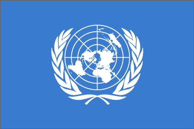 Estructura del sistema de la Organización de Naciones Unidas ONU - CPR702-1