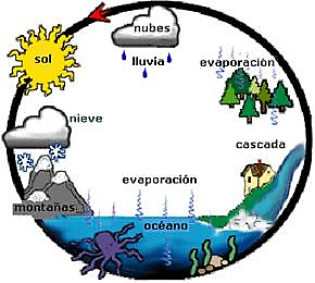 ECOLOGÍA Y TIPOS DE ECOSISTEMAS COLOMBIANOS