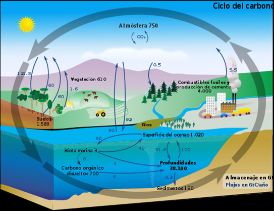 ECOLOGÍA Y TIPOS DE ECOSISTEMAS COLOMBIANOS