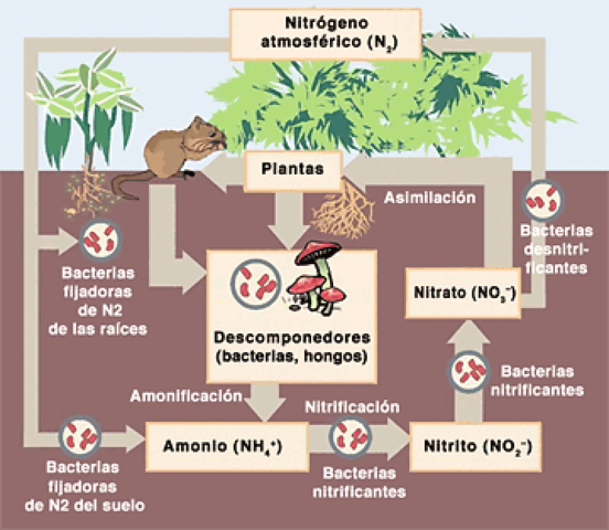 ECOLOGÍA Y TIPOS DE ECOSISTEMAS COLOMBIANOS