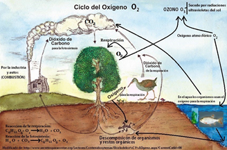 ECOLOGÍA Y TIPOS DE ECOSISTEMAS COLOMBIANOS
