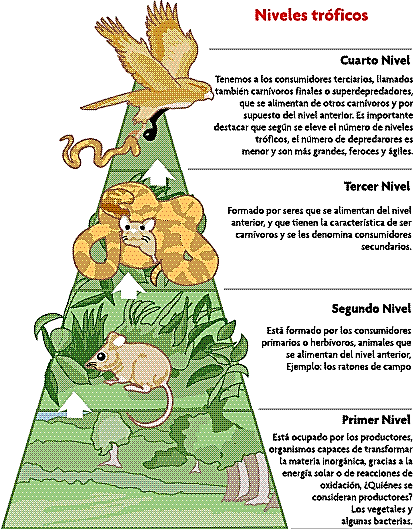 ECOLOGÍA Y TIPOS DE ECOSISTEMAS COLOMBIANOS