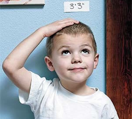 LA DESNUTRICION INFANTIL