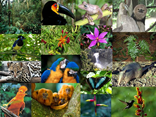 ECOLOGÍA Y TIPOS DE ECOSISTEMAS COLOMBIANOS