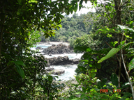ECOLOGÍA Y TIPOS DE ECOSISTEMAS COLOMBIANOS