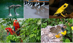 ECOLOGÍA Y TIPOS DE ECOSISTEMAS COLOMBIANOS