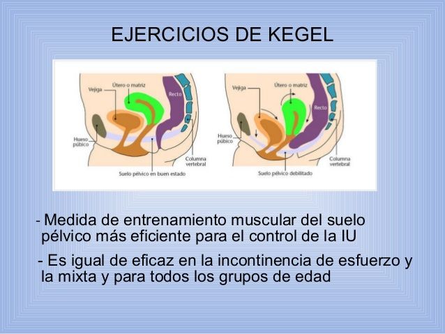 39. Incontinencia urinaria, prolapso genital, trastornos del piso pélvico