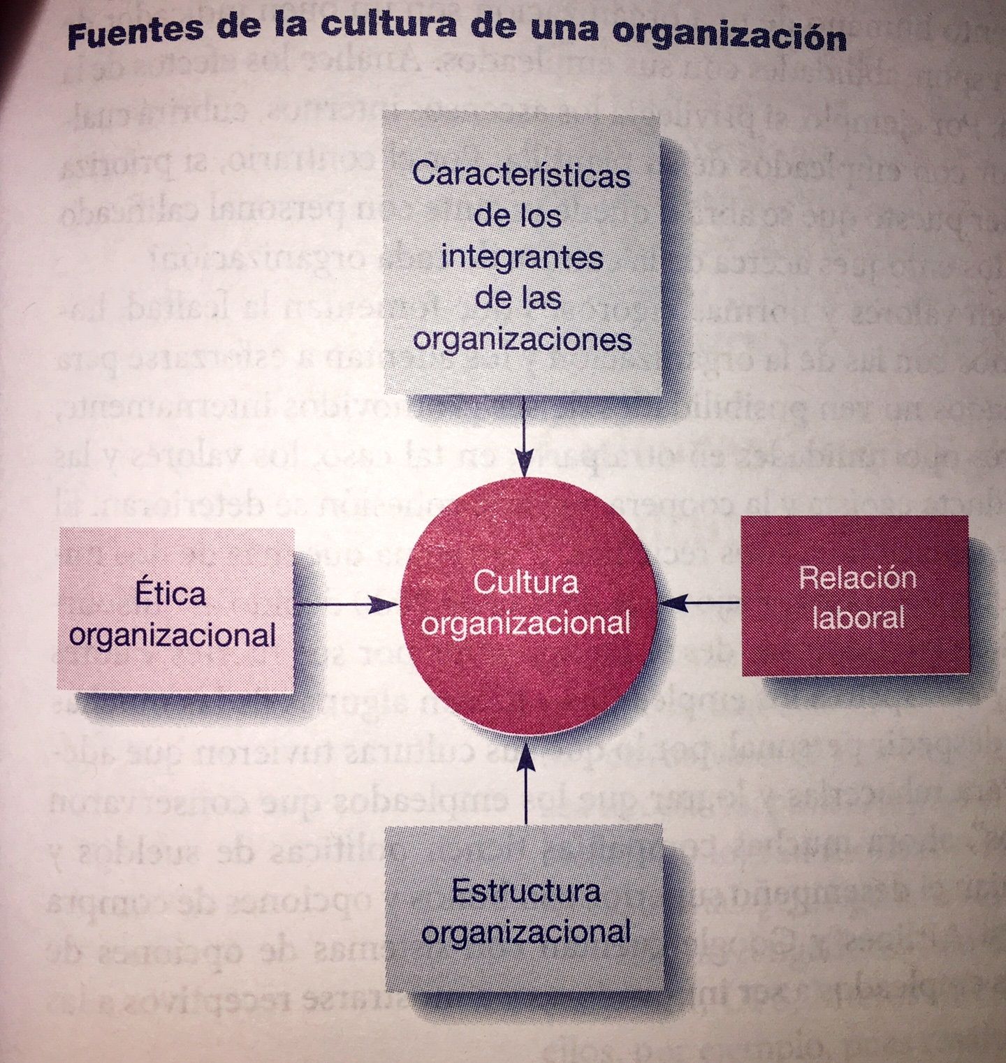 Administración de la estructura y la cultura organizacionales