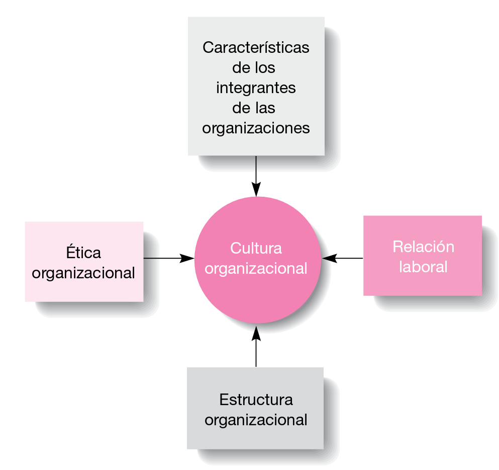 Administración de la estructura y la cultura organizacionales.