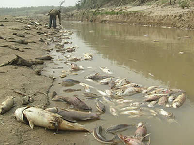 Contaminación del río Apatlaco Edo. de Morelos