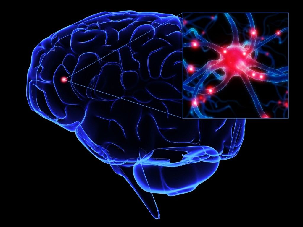 Psicofisiología