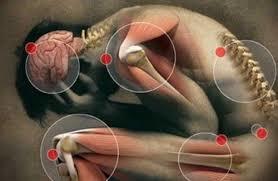 Trauma acumulativo