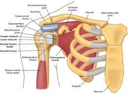 Trauma acumulativo
